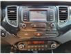 2014 Kia Rondo LX in Kemptville - Image 8 of 17