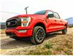 2022 Ford F-150  (Stk: 9995) in Golden - Image 28 of 31