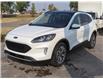 2020 Ford Escape Titanium Hybrid (Stk: P11558) in Red Deer - Image 8 of 38