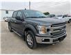 2019 Ford F-150 XLT (Stk: 22061A) in Wilkie - Image 1 of 21