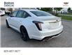 2023 Cadillac CT5 Sport (Stk: 103393) in Bolton - Image 3 of 14