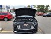 2021 Cadillac Escalade Premium Luxury Platinum (Stk: N029887A) in Calgary - Image 5 of 26