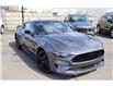 2022 Ford Mustang GT (Stk: 220546) in Hamilton - Image 2 of 21