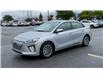 2020 Hyundai Ioniq EV Preferred (Stk: U9447) in Ottawa - Image 4 of 24