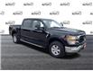 2021 Ford F-150 XLT (Stk: 80-668) in St. Catharines - Image 2 of 22