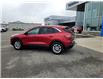 2021 Ford Escape SE (Stk: P22619A) in Timmins - Image 3 of 13