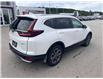 2022 Honda CR-V EX-L (Stk: PM22034) in Owen Sound - Image 4 of 12