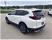 2022 Honda CR-V EX-L (Stk: PM22034) in Owen Sound - Image 6 of 12