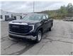 2022 GMC Sierra 1500 Pro (Stk: 667522) in New Glasgow - Image 1 of 14