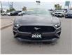 2020 Ford Mustang EcoBoost (Stk: P0377) in Mississauga - Image 8 of 20