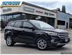 2017 Ford Escape SE (Stk: 39677) in Waterloo - Image 1 of 25