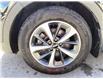 2019 Kia Sorento 3.3L EX (Stk: P0323) in Milton - Image 6 of 12