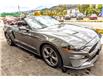 2022 Ford Mustang GT Premium (Stk: 9404) in Golden - Image 2 of 26