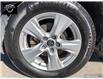 2019 Toyota RAV4 XLE (Stk: 22408) in Ottawa - Image 6 of 25