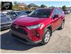 2019 Toyota RAV4 XLE (Stk: 22408) in Ottawa - Image 8 of 25