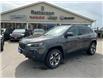 2019 Jeep Cherokee Trailhawk (Stk: 7071A) in Fort Erie - Image 1 of 20
