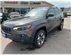 2019 Jeep Cherokee Trailhawk (Stk: 7071A) in Fort Erie - Image 3 of 20