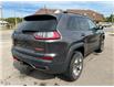 2019 Jeep Cherokee Trailhawk (Stk: 7071A) in Fort Erie - Image 10 of 20