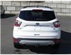 2017 Ford Escape SE (Stk: P4054) in Salmon Arm - Image 6 of 25