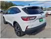2021 Ford Escape SE (Stk: P0396) in Mississauga - Image 7 of 28