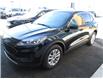 2020 Ford Escape SE (Stk: N0542A) in Québec - Image 14 of 18