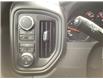 2023 GMC Sierra 1500 Pro (Stk: 23-130) in Listowel - Image 17 of 18