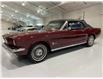 1966 Ford Mustang  (Stk: 300842) in Watford - Image 2 of 19