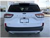 2022 Ford Escape SE (Stk: 22132) in Port Alberni - Image 4 of 14