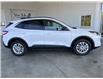 2022 Ford Escape SE (Stk: 22132) in Port Alberni - Image 5 of 14