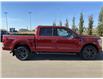 2022 Ford F-150 XLT (Stk: NLT256) in Fort Saskatchewan - Image 4 of 14