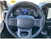 2022 Ford F-150 XLT (Stk: NLT256) in Fort Saskatchewan - Image 12 of 14