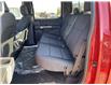 2022 Ford F-150 XLT (Stk: NLT256) in Fort Saskatchewan - Image 14 of 14