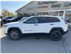 2022 Jeep Cherokee Sport (Stk: 7172) in Fort Erie - Image 4 of 22
