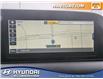 2020 Hyundai Palisade Preferred (Stk: E6301) in Edmonton - Image 17 of 28
