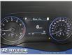 2020 Hyundai Palisade Preferred (Stk: E6301) in Edmonton - Image 28 of 28