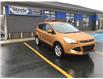 2016 Ford Escape SE (Stk: PA0863-220) in St. John’s - Image 8 of 20