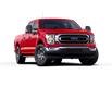 2022 Ford F-150 XLT (Stk: 22064) in La Malbaie - Image 4 of 7