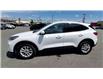 2020 Ford Escape SE (Stk: A42975) in Sudbury - Image 5 of 24