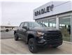 2022 Chevrolet Silverado 1500 Custom Trail Boss (Stk: 22166) in Moosomin - Image 1 of 12