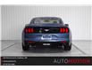 2018 Ford Mustang  (Stk: 221480) in Chatham - Image 4 of 17