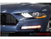 2018 Ford Mustang  (Stk: 221480) in Chatham - Image 7 of 17
