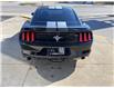 2017 Ford Mustang V6 (Stk: 22-0798A) in LaSalle - Image 8 of 24