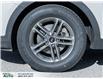 2017 Hyundai Santa Fe Sport 2.4 Premium (Stk: 485972) in Milton - Image 4 of 22