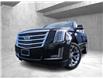 2017 Cadillac Escalade ESV Platinum (Stk: 23-017A2) in Kelowna - Image 1 of 21