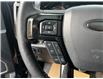 2019 Ford F-150  (Stk: DW733A) in Ottawa - Image 10 of 16