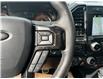 2019 Ford F-150  (Stk: DW733A) in Ottawa - Image 12 of 16