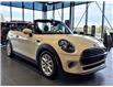 2020 MINI Convertible Cooper (Stk: P2280A) in Ottawa - Image 4 of 18