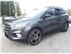 2019 Ford Escape SEL (Stk: 3371) in KITCHENER - Image 3 of 25