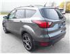 2019 Ford Escape SEL (Stk: 3371) in KITCHENER - Image 5 of 25