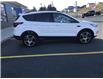 2019 Ford Escape SEL (Stk: PA5431-220) in St. John’s - Image 6 of 23